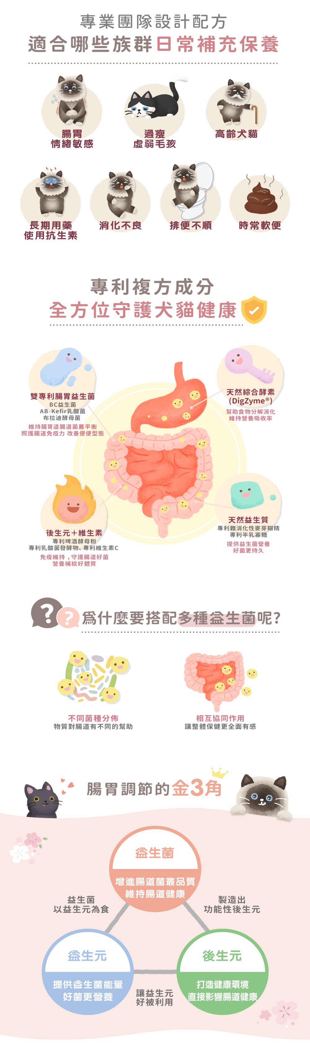 貪貪FUN桑腸胃益生菌適合哪種貓咪