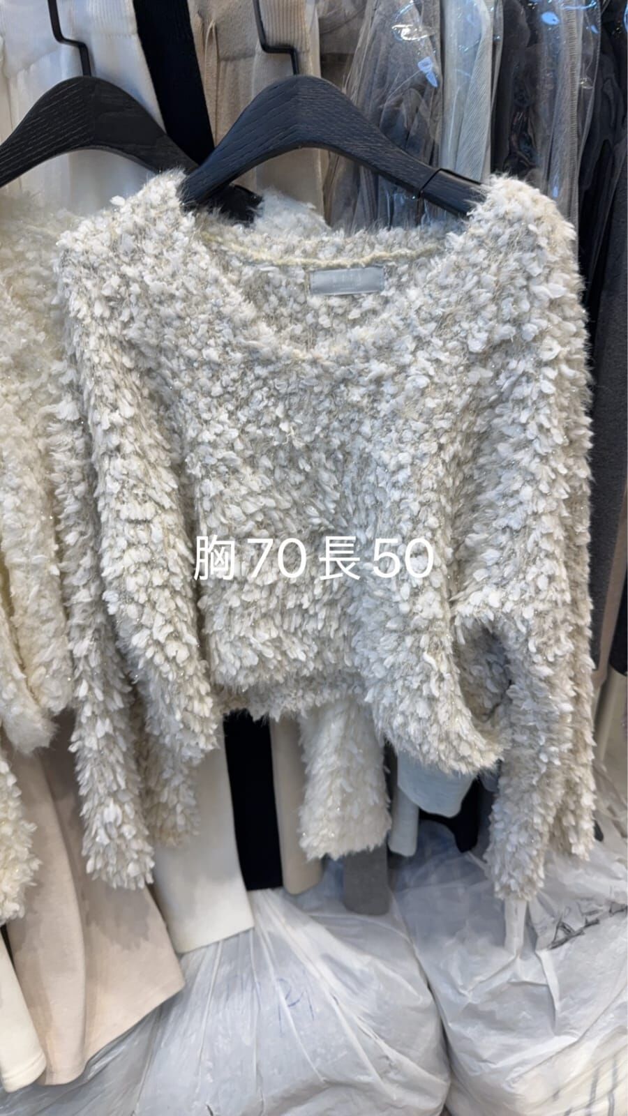 WE5331 混毛毛V領短上衣