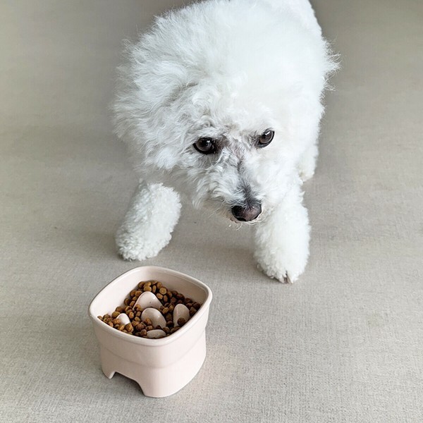 高腳慢食寵物碗【新色】
