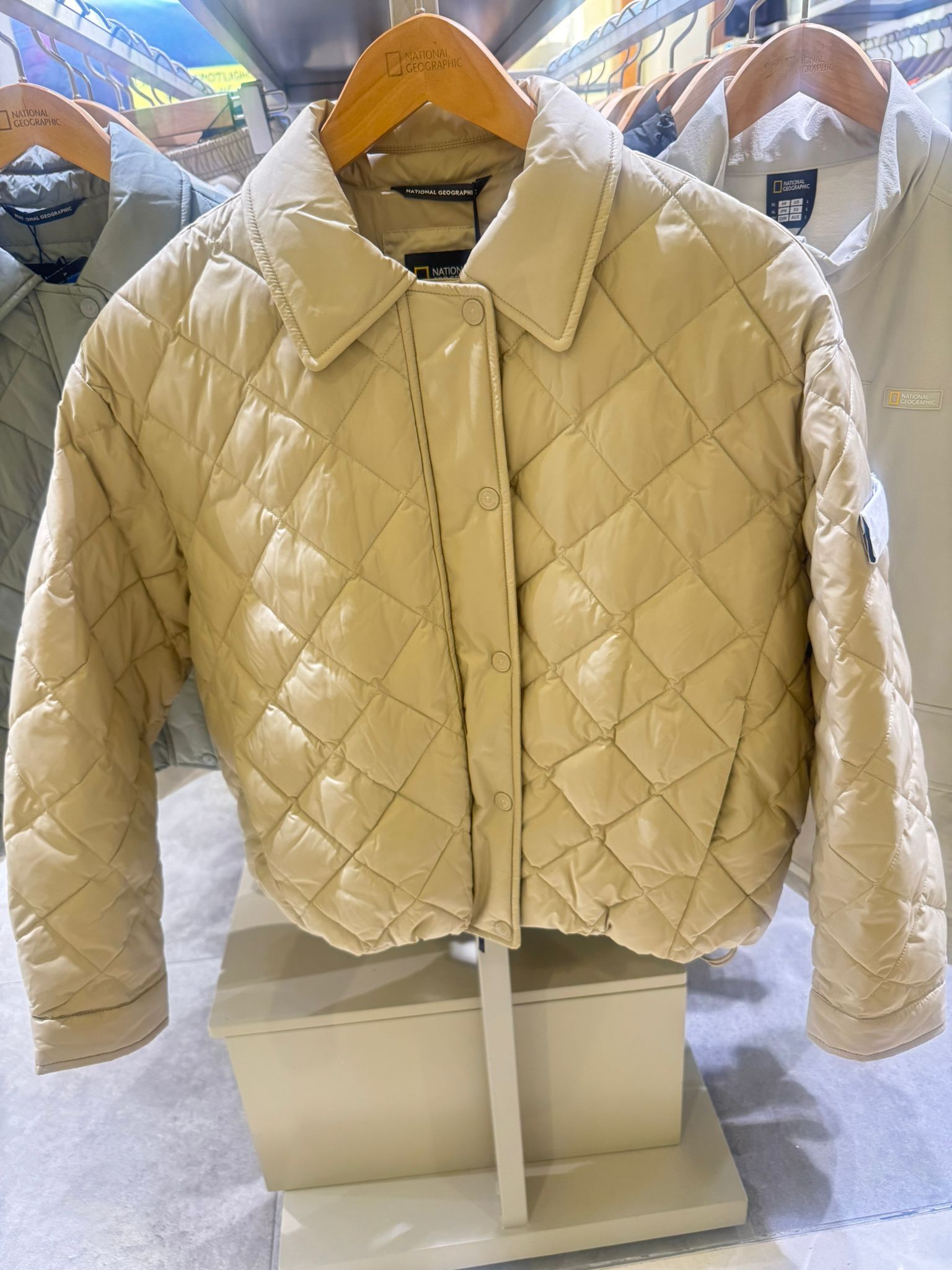 NG03 xs胸36 長17 s胸37 長17.5 m 胸38 長18 N244WPD010 $679