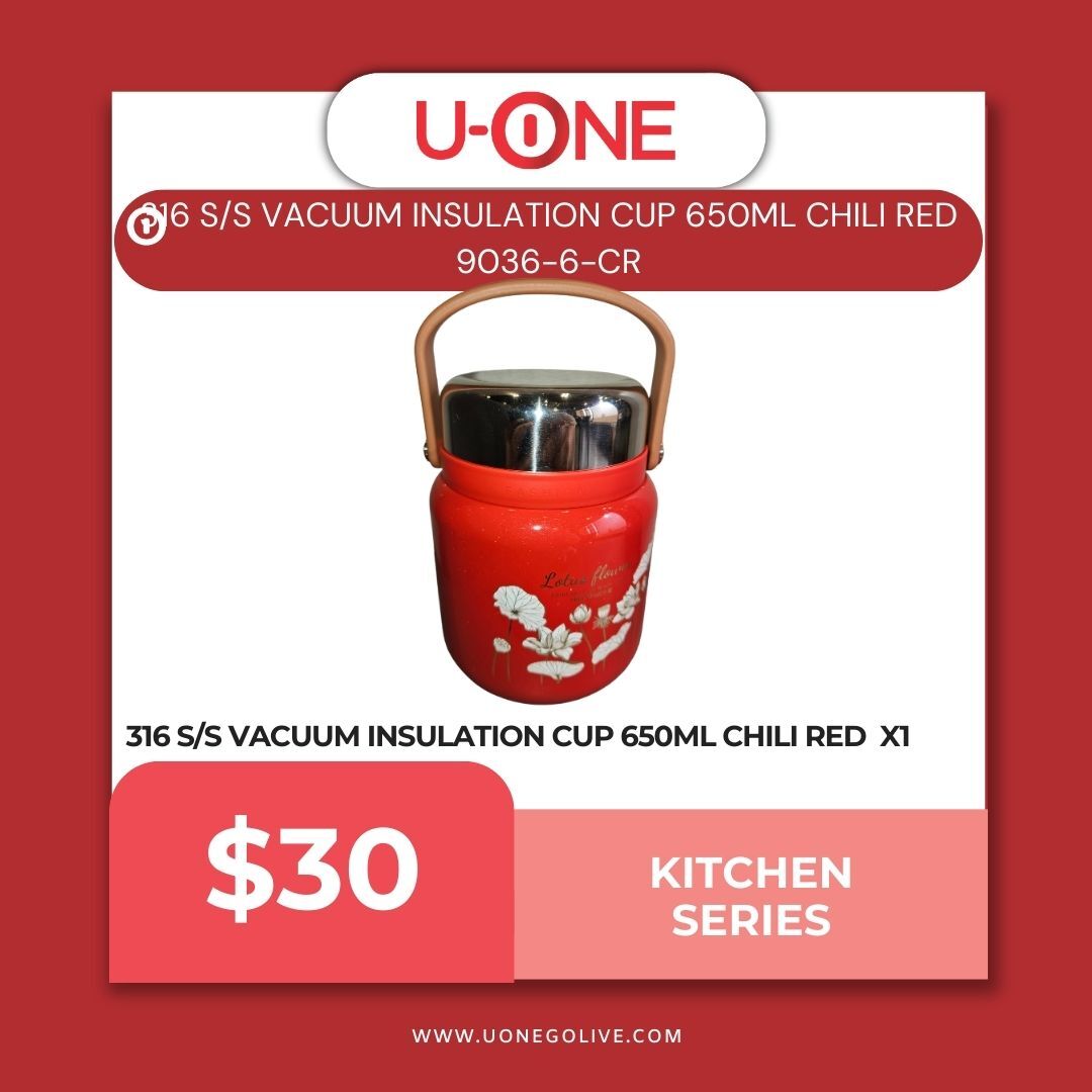 316 S/S VACUUM INSULATION CUP 650ML - 9036-6