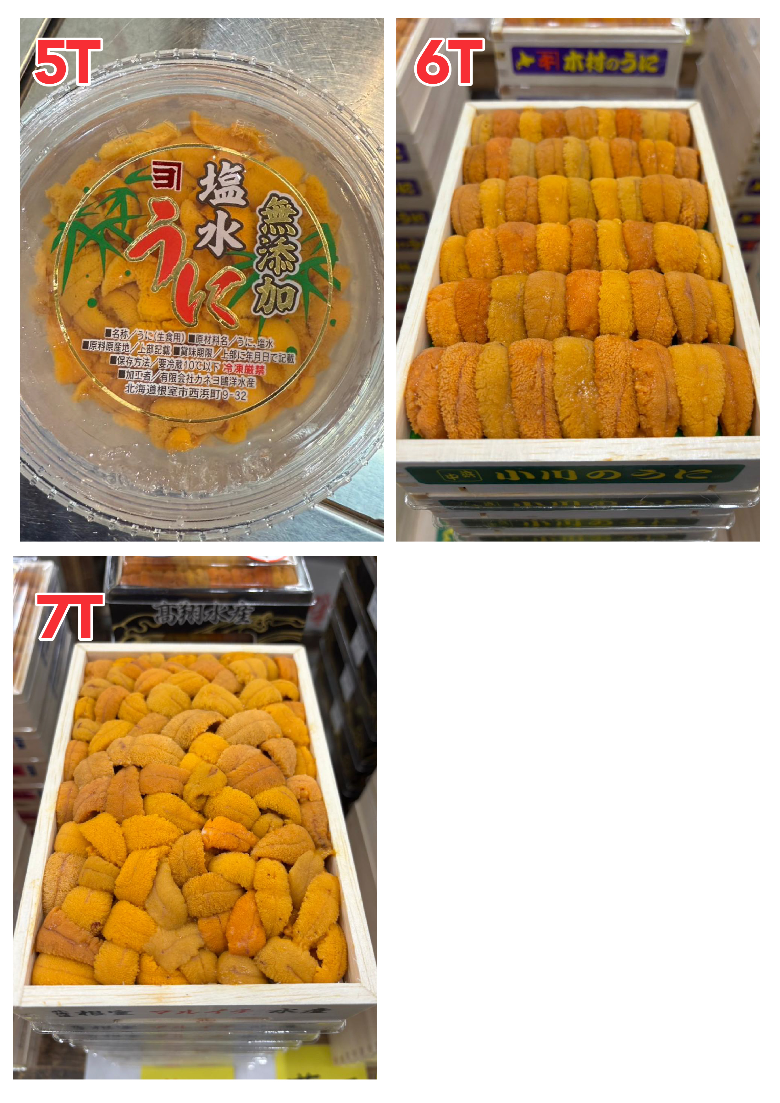 【指定海膽推薦】每天更新 (限即日落單, 翌日送)