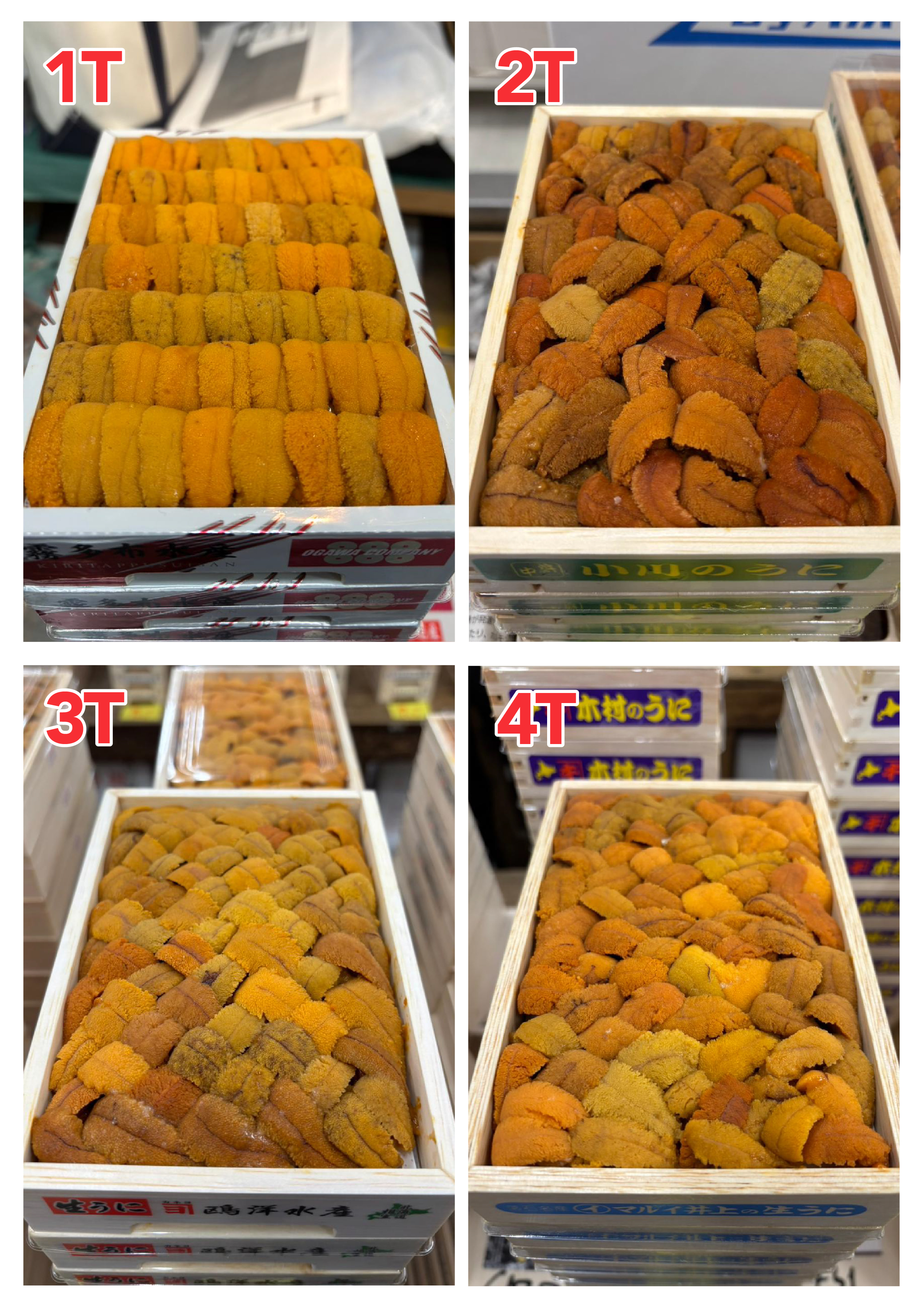 【指定海膽推薦】每天更新 (限即日落單, 翌日送)