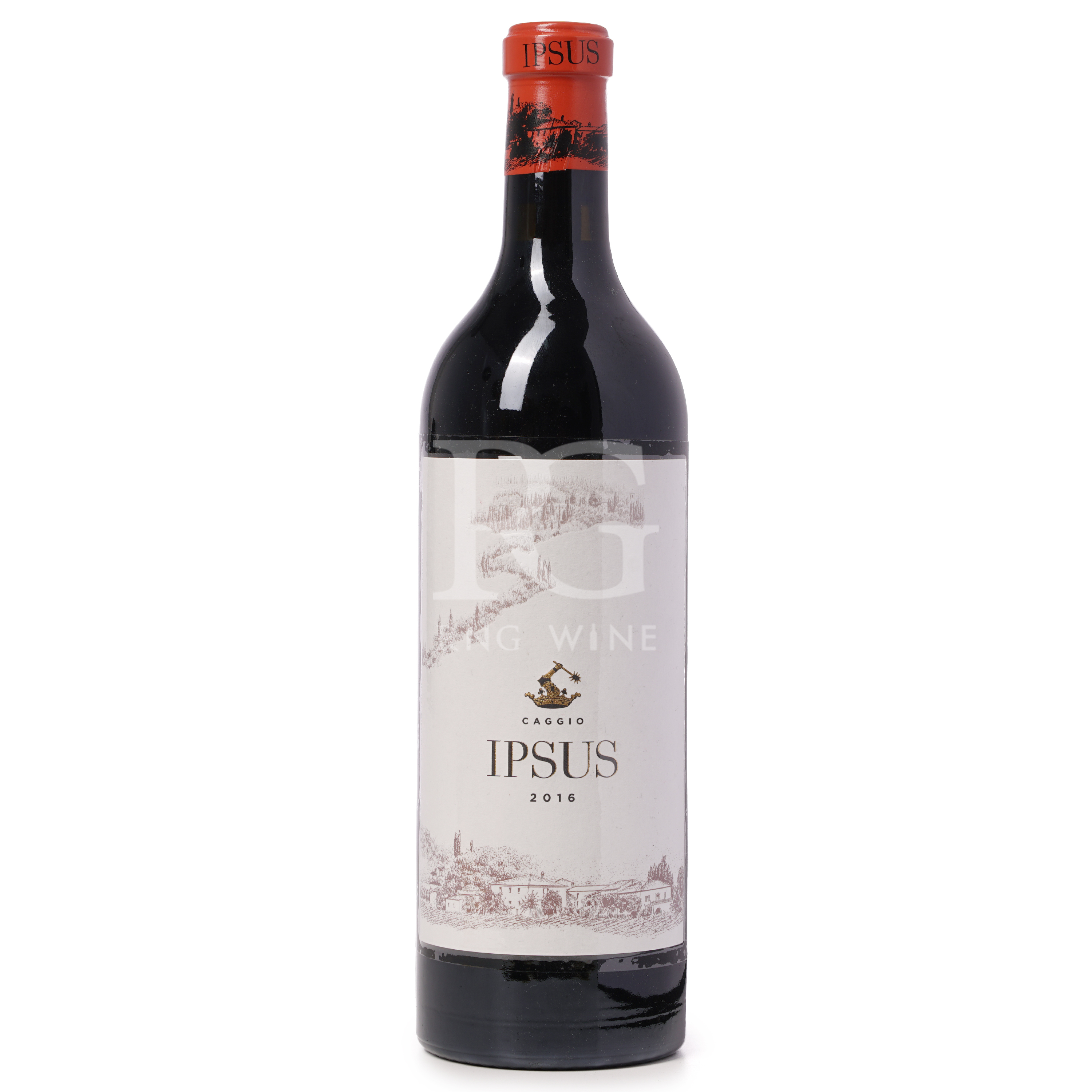 Il Caggio Chianti Classico Gran Selezione Ipsus 2016 (WS97)