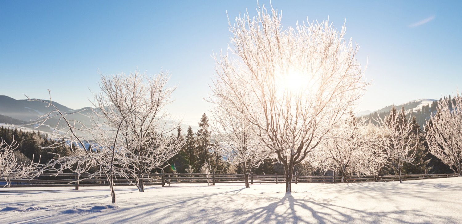 冬天的無力感不是妳的錯，適時的補充營養即可