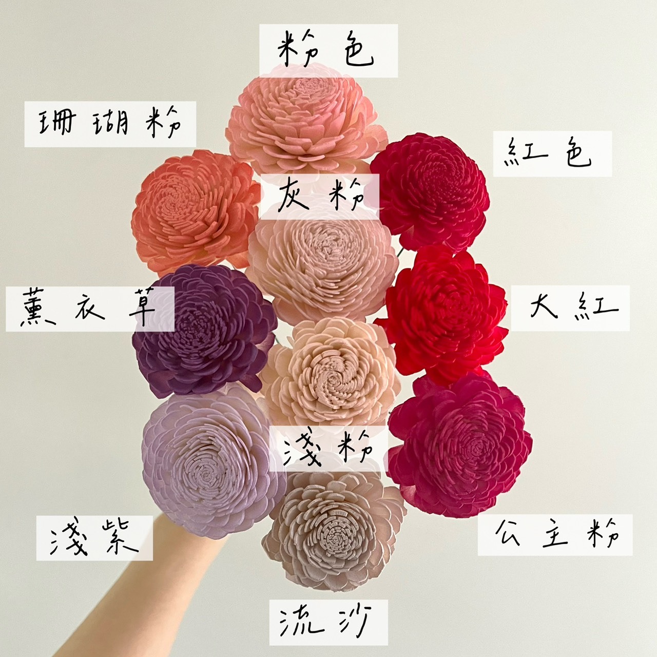 越南索拉花 貝力玫瑰  4CM<十支一把>