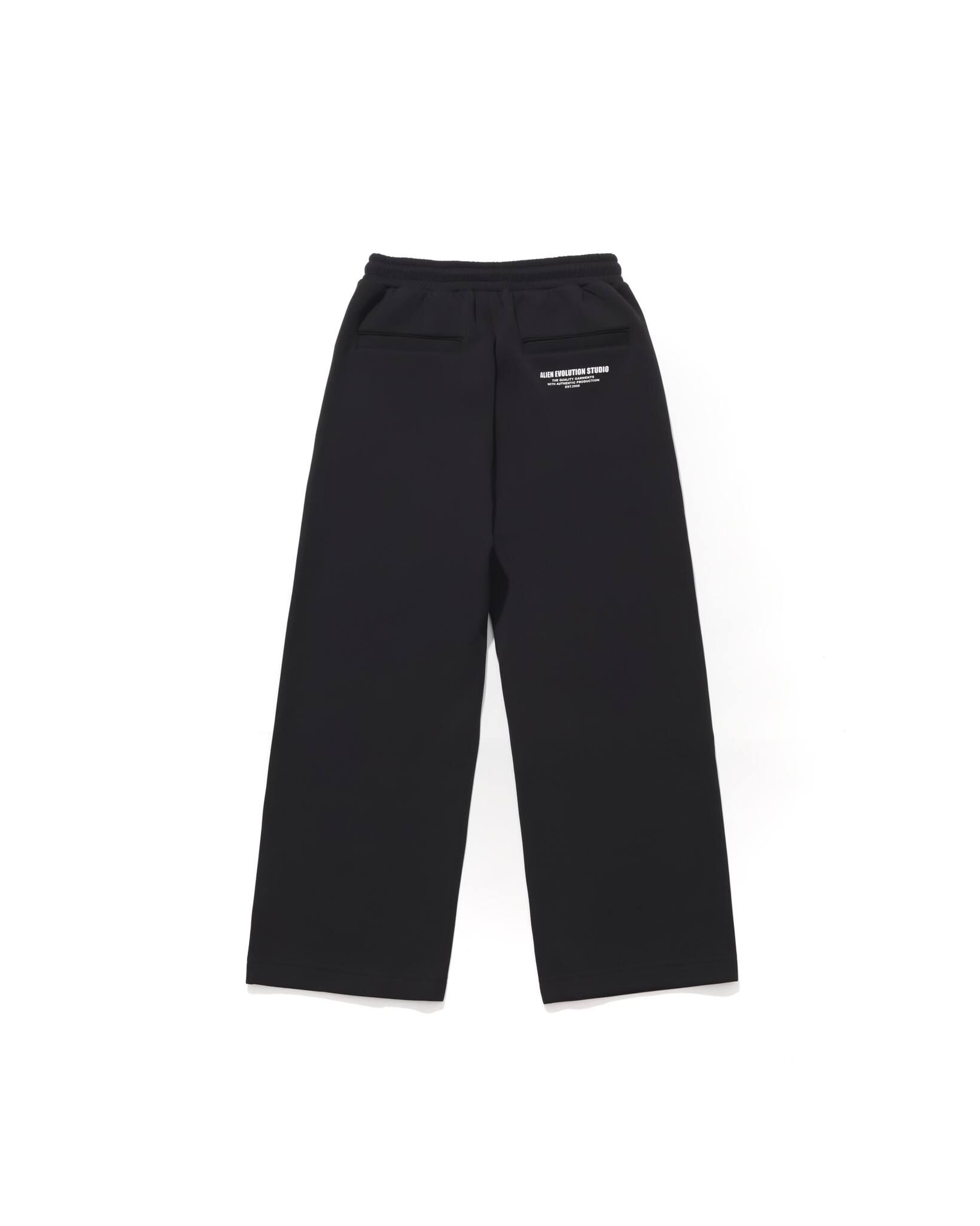 AES SKULL LOGO SCUBA PANTS