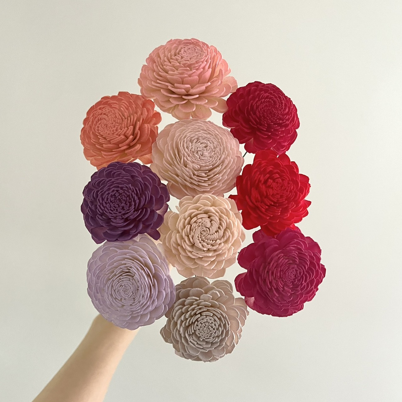 越南索拉花 貝力玫瑰  6-7CM<十支一把>