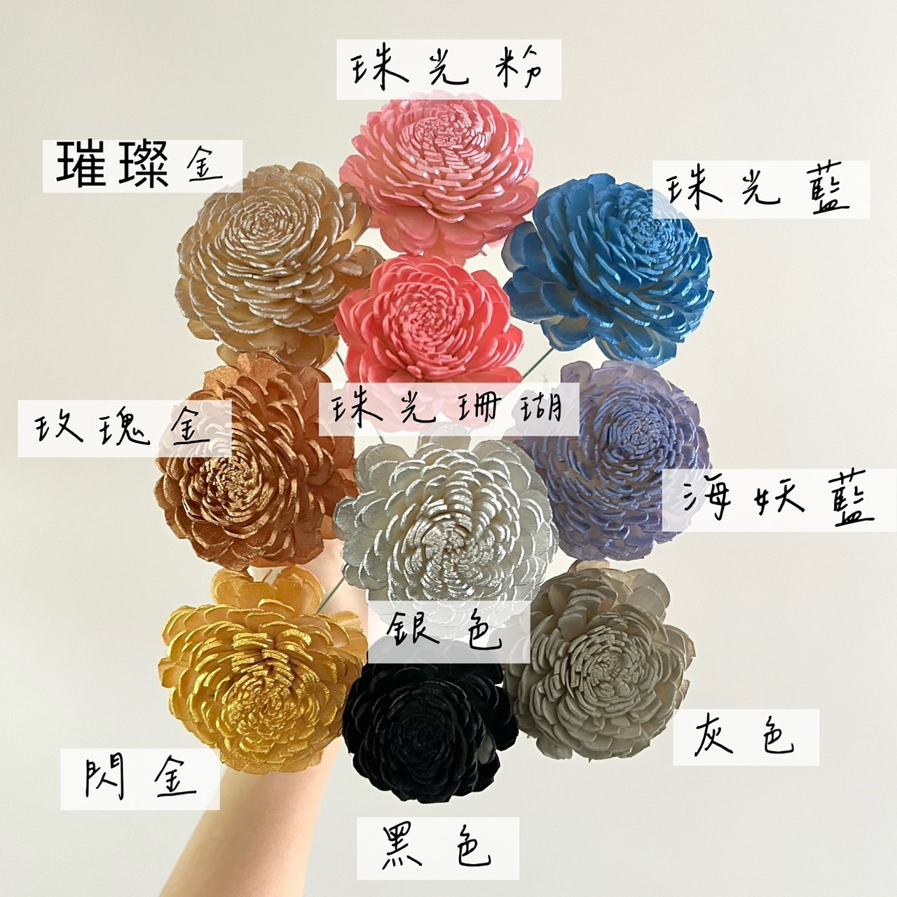 越南索拉花 貝力玫瑰 3CM<十支一把>