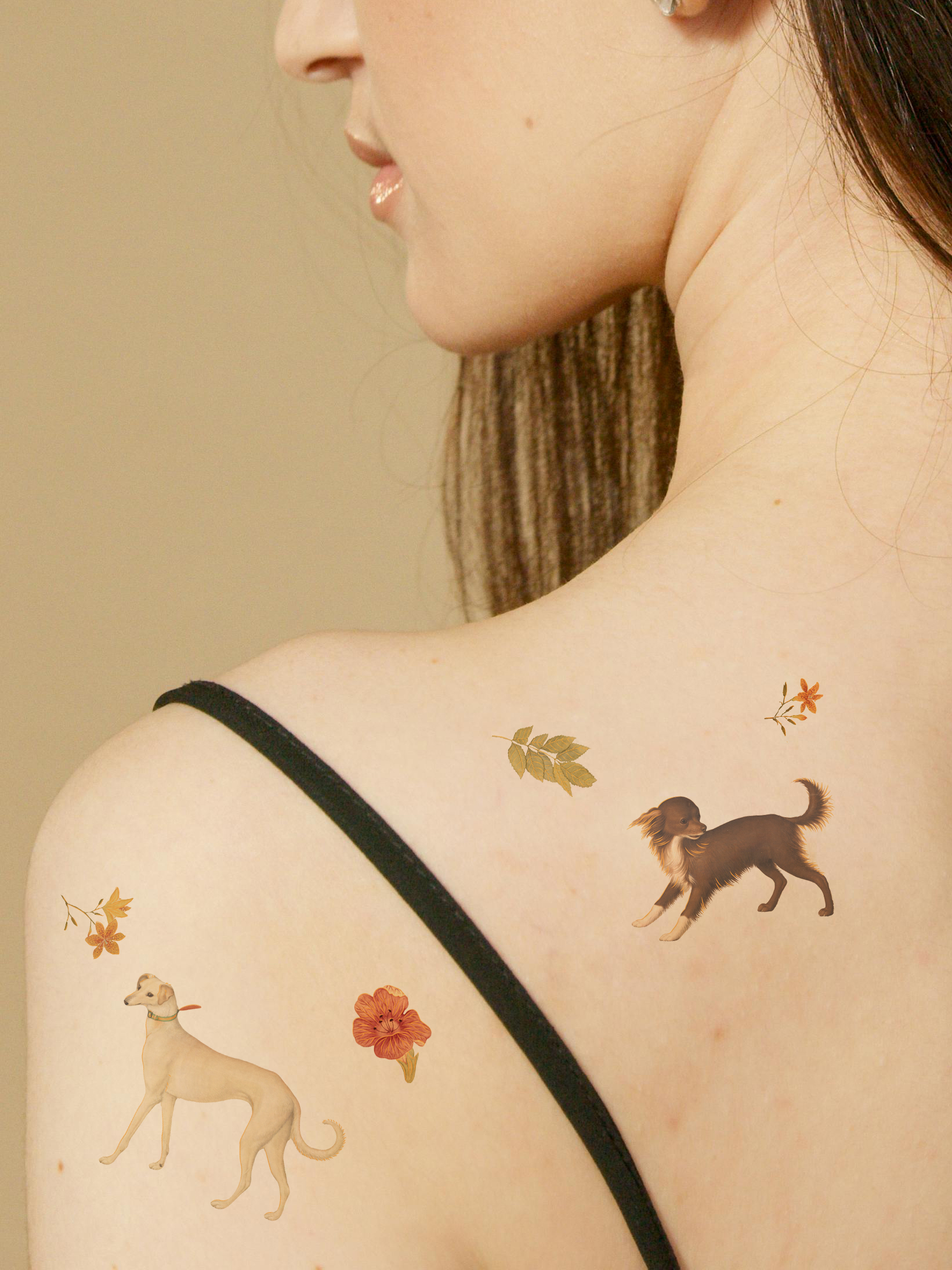 錦犬圖譜 Illustrated album of brocade hound