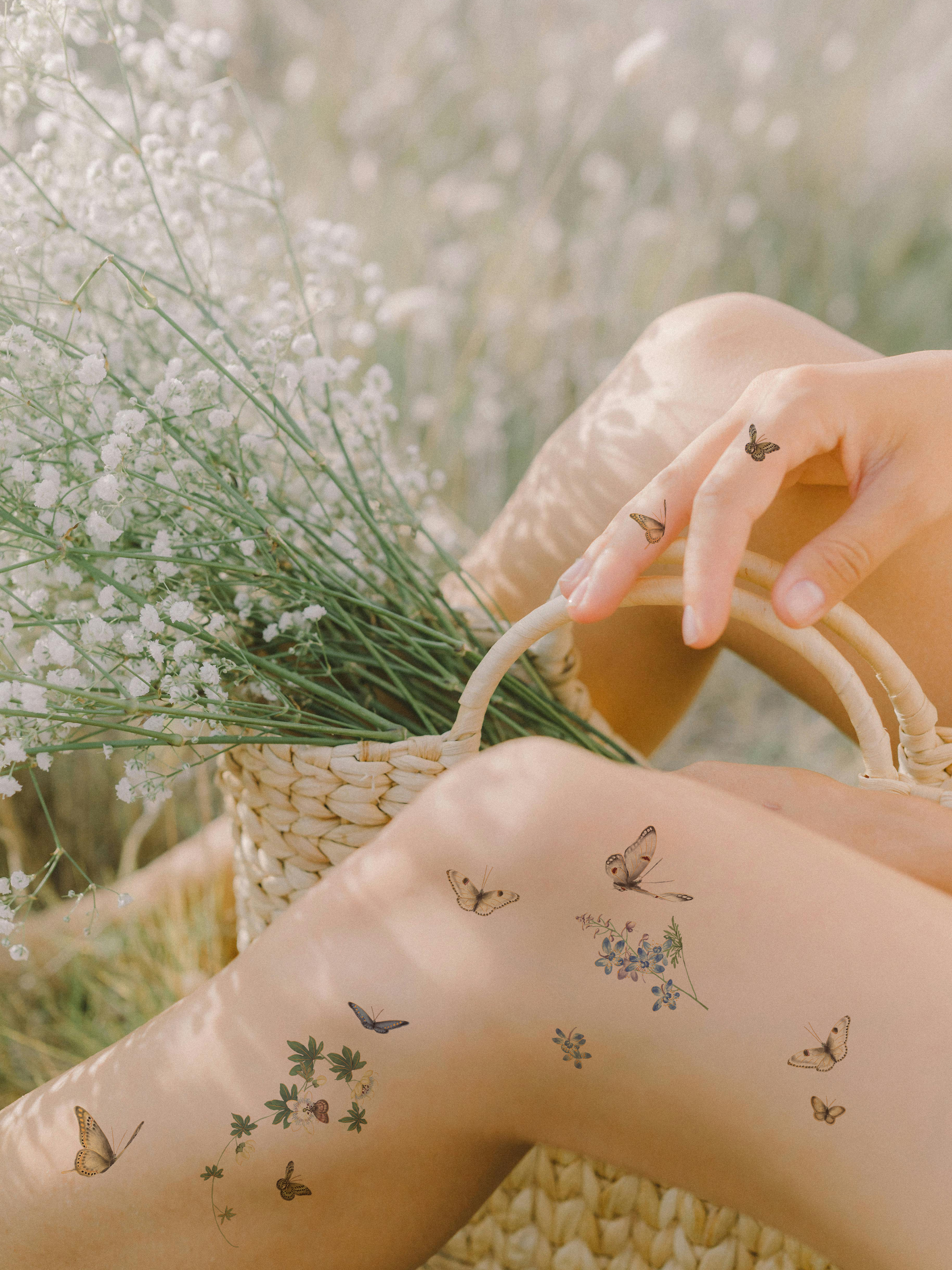 蝶舞花間 Dancing butterflies among flowers