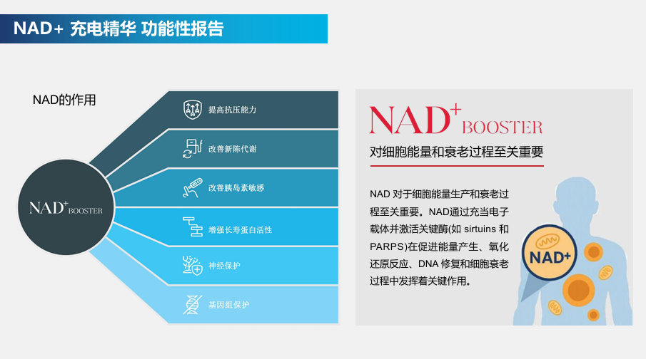 SH001 RICHESSE NAD+BOOSTER (1支NAD+ 120MG+1支NMN活化劑5ML)