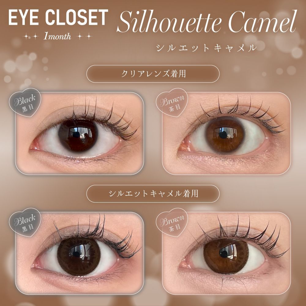 Eye Closet Monthly (Silhouette Camel) (2P)