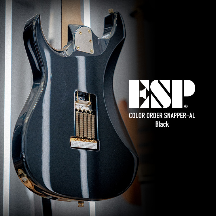esp original snapper al black 2023年製 受注生産】ESP(イーエスピー) SNAPPER-AL / Black - 【ESP直営
