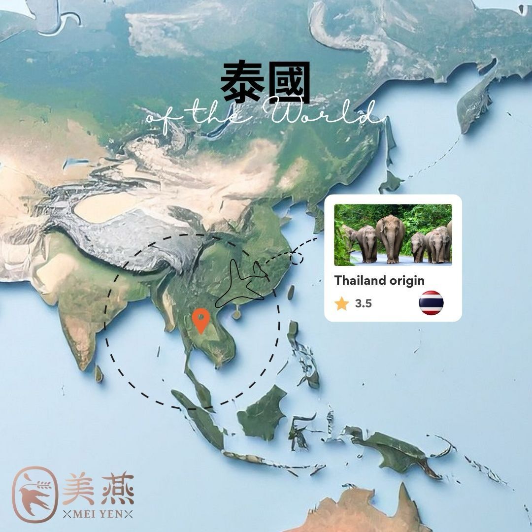 泰國燕窩產地與口感特性｜世界燕窩產地比較