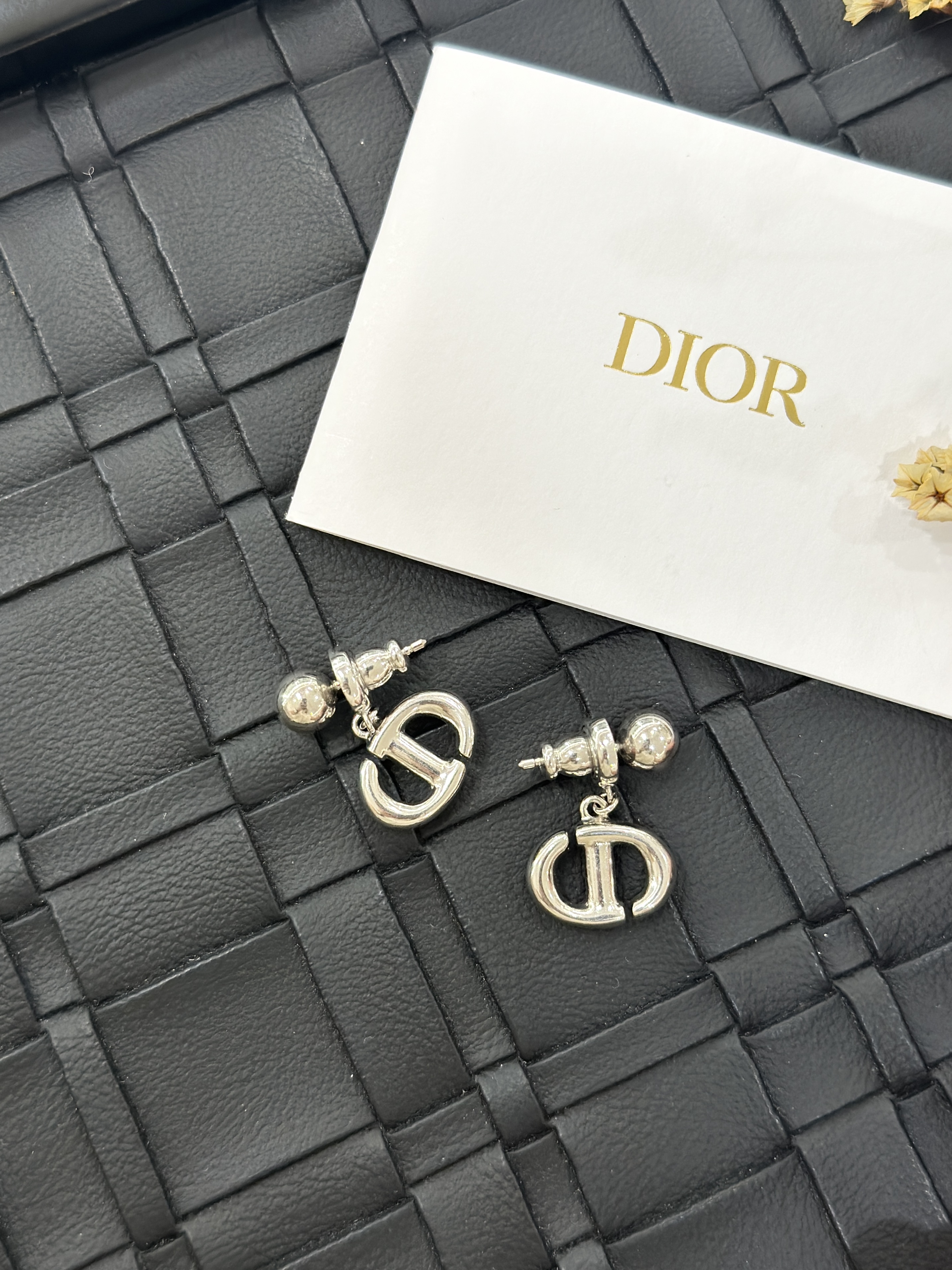 DIOR CD Navy Earrings E1812