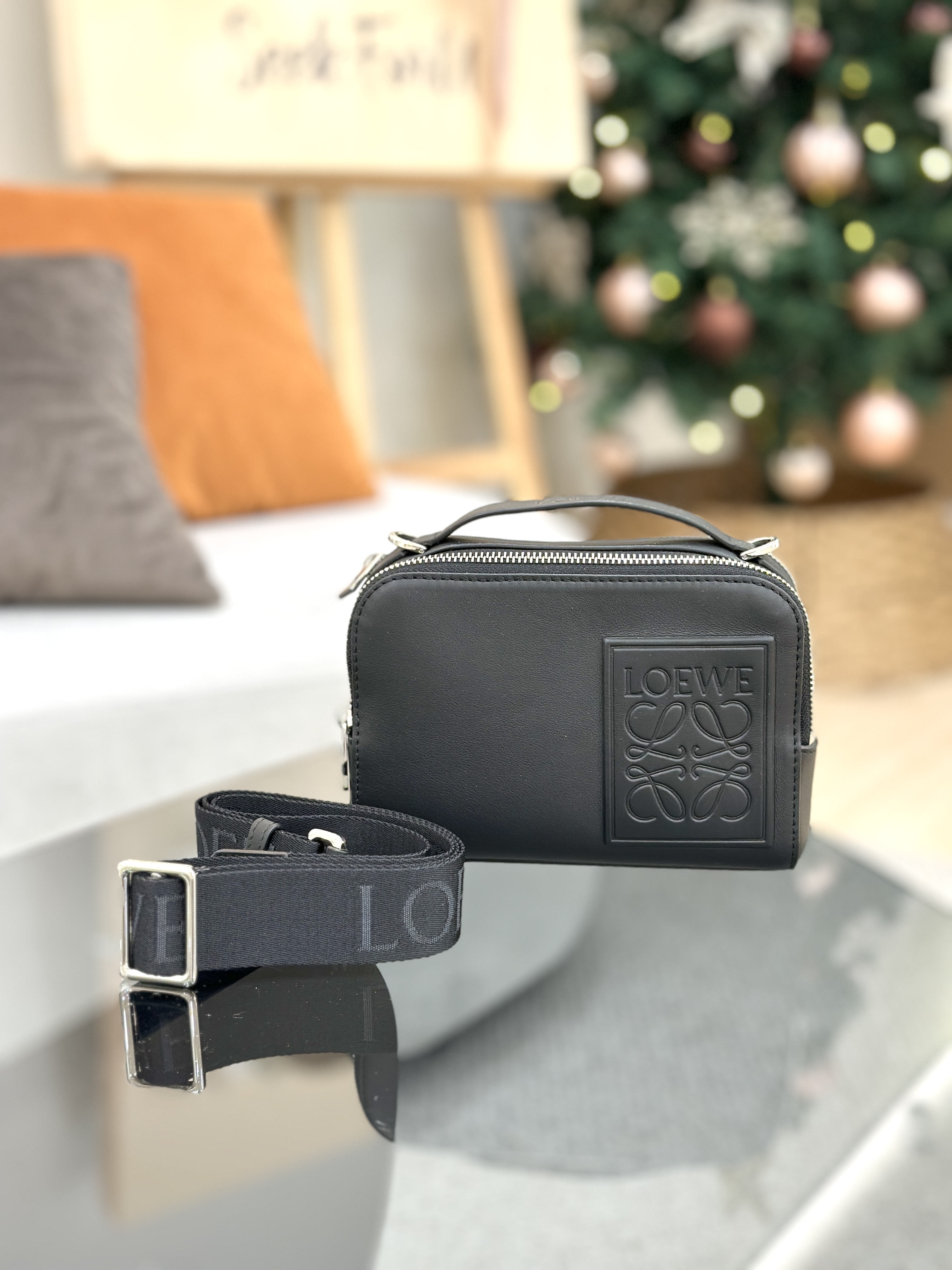 LOEWE Mini Crossbody Camera Bag