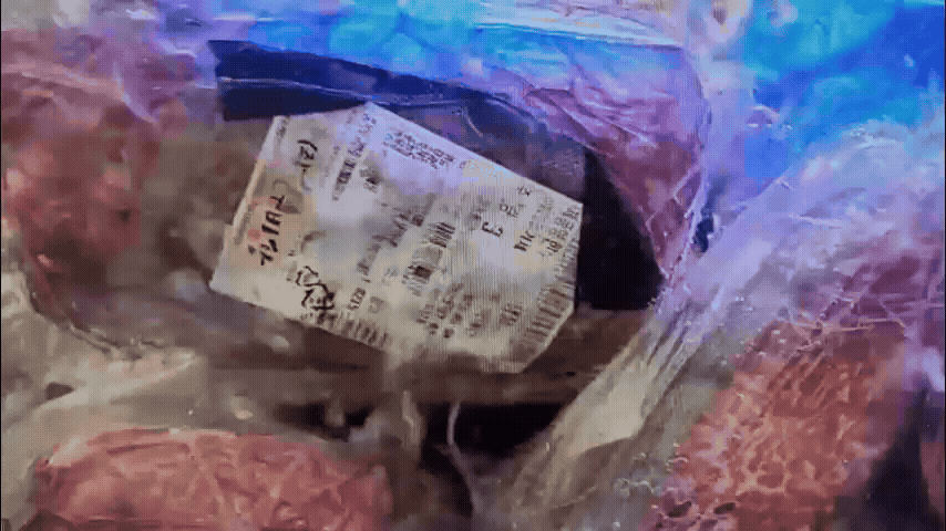 水式熟成肉眼30天