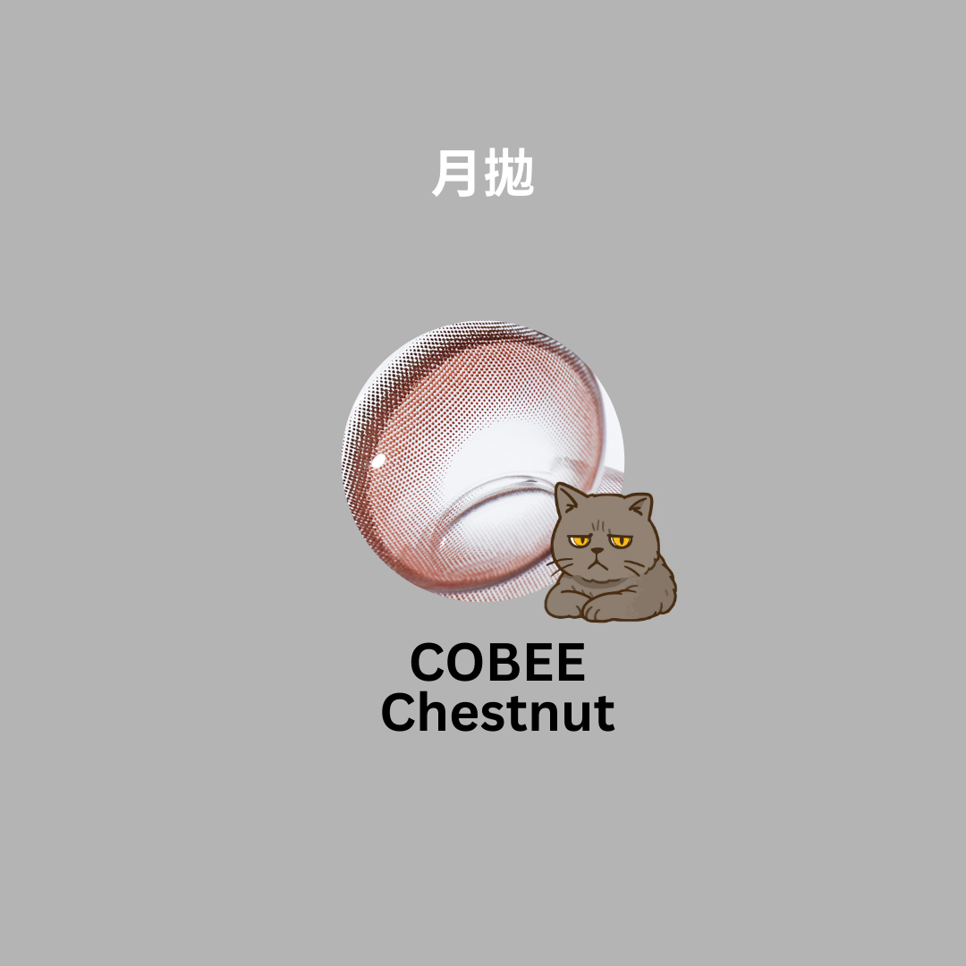 [日拋] FiPN 1 Day COBEE Chestnut 日拋隱形眼鏡｜每盒10片