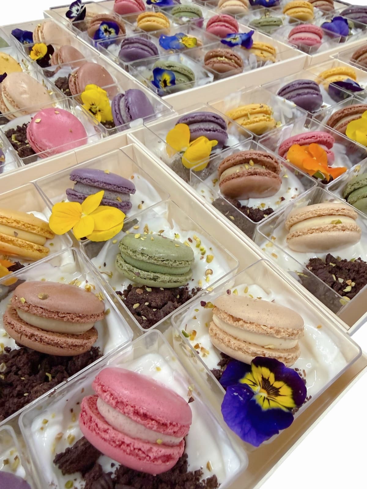 朱古力馬卡龍乳酪杯