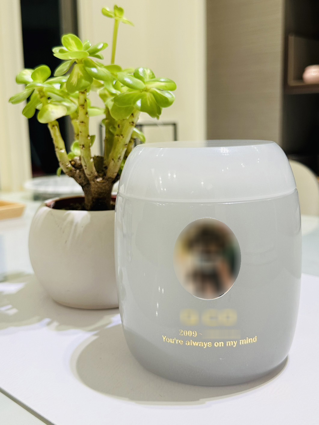 院好寵物骨灰罈專賣店 - 寵物骨灰罈