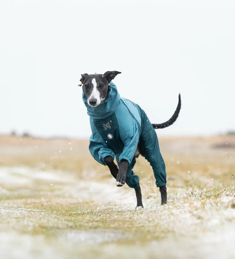 【Non-stop dogwear】FJORD彈性機能四腳雨衣（湖水綠）