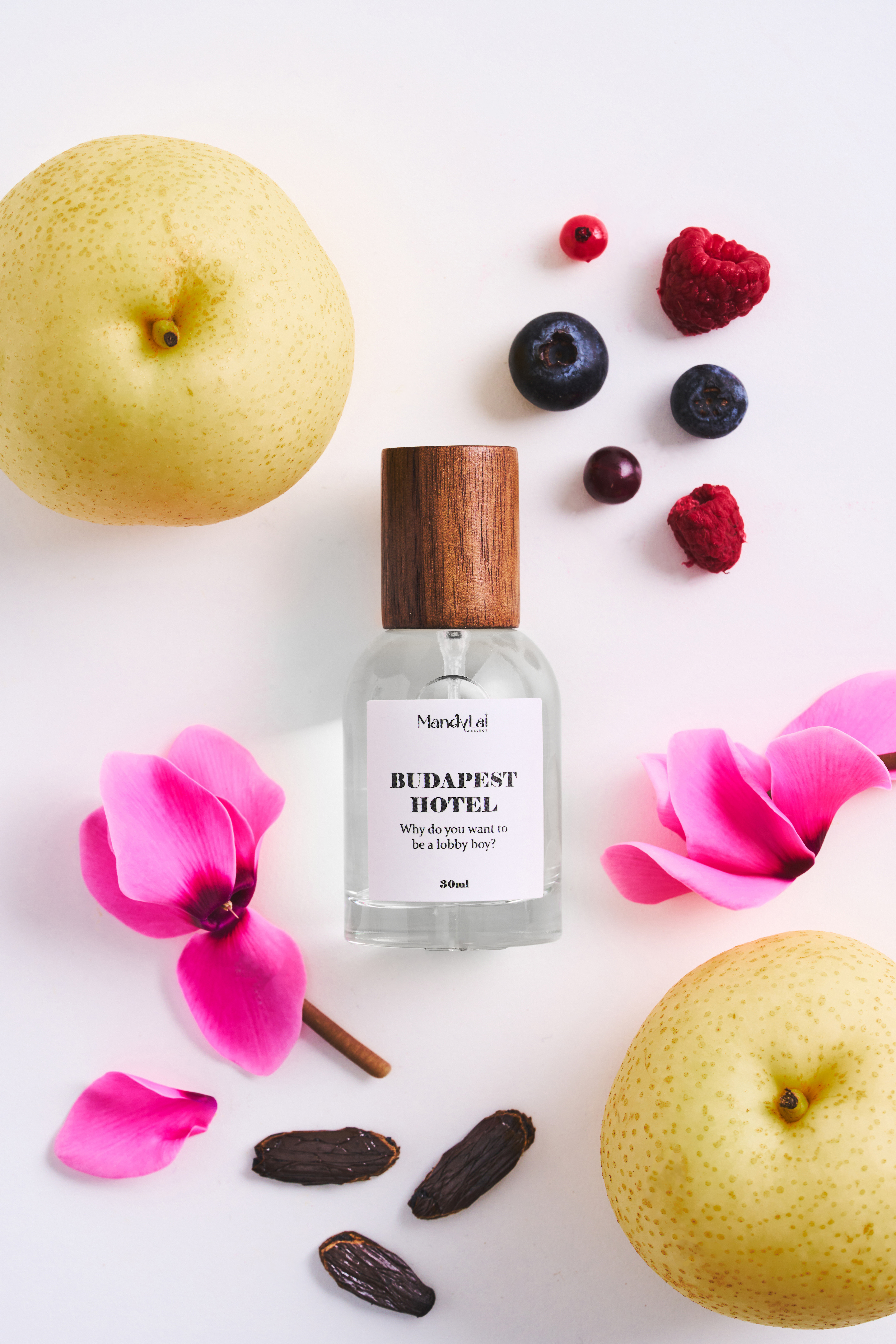 Budapest Hotel (布達佩斯飯店）