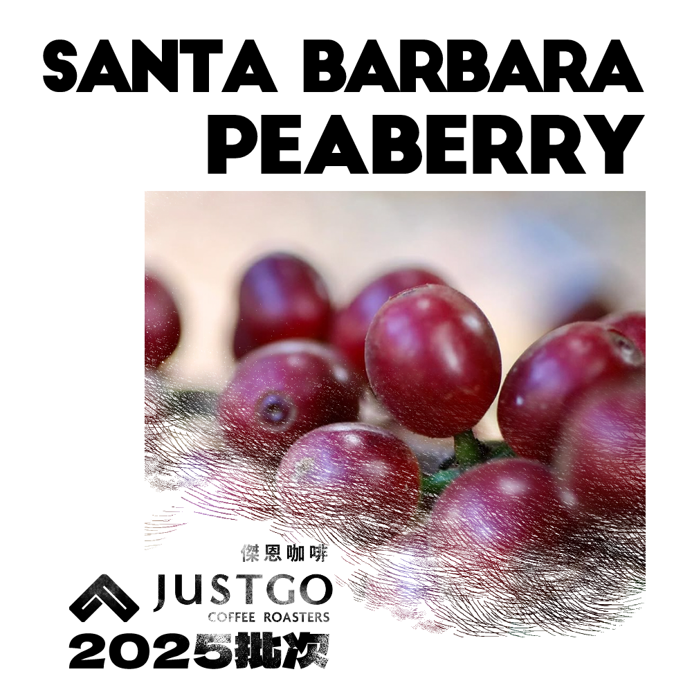 [生豆] 宏都拉斯 聖塔芭芭拉 Peaberry 水洗