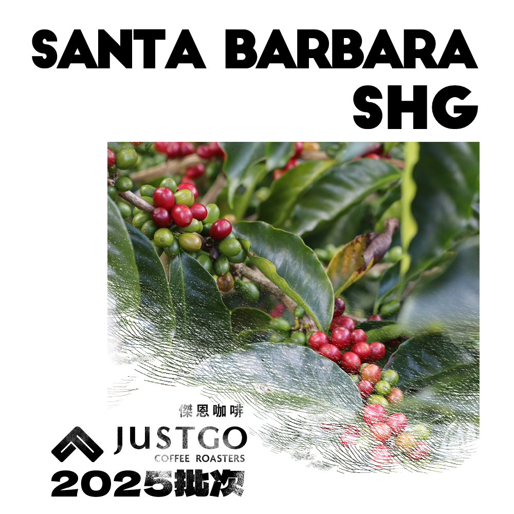 [生豆] 宏都拉斯 聖塔芭芭拉 SHG 水洗