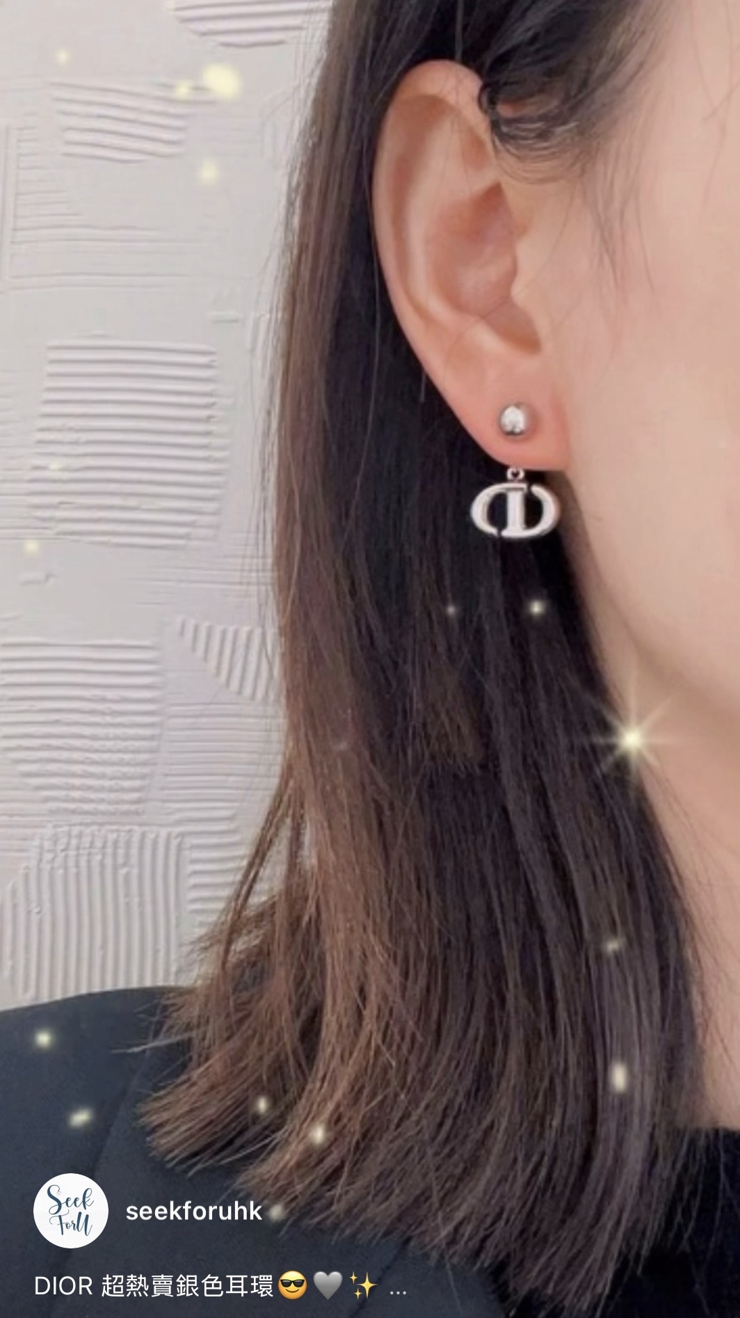 DIOR CD Navy Earrings E1812