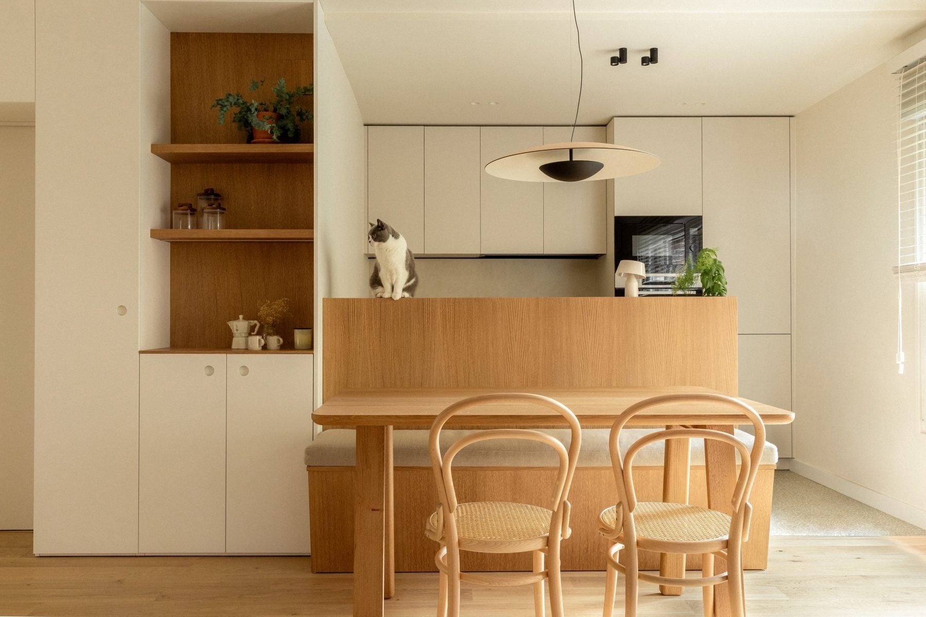 marset-lightplus-進口吊燈