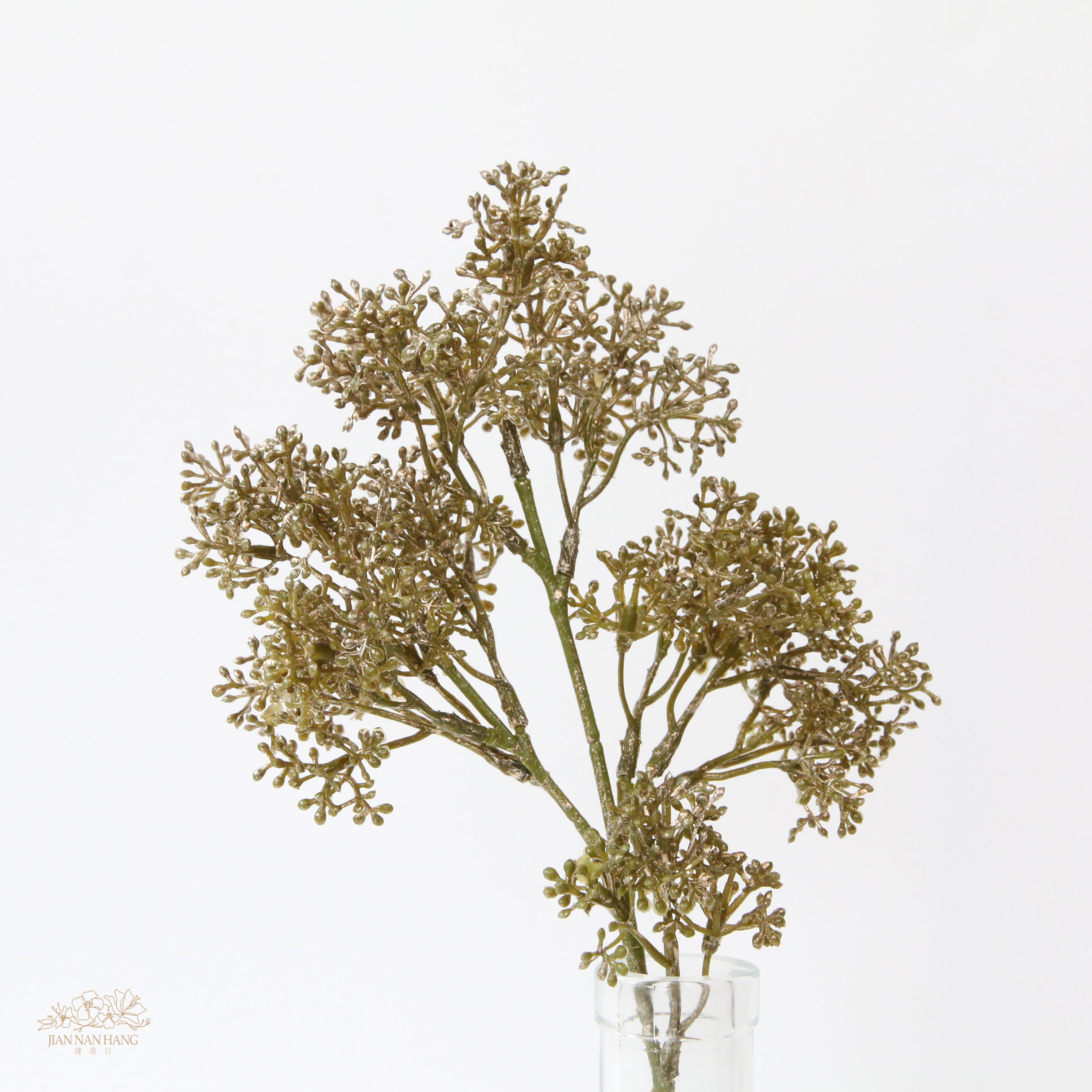 人造果 漿果短枝 銀綠色
