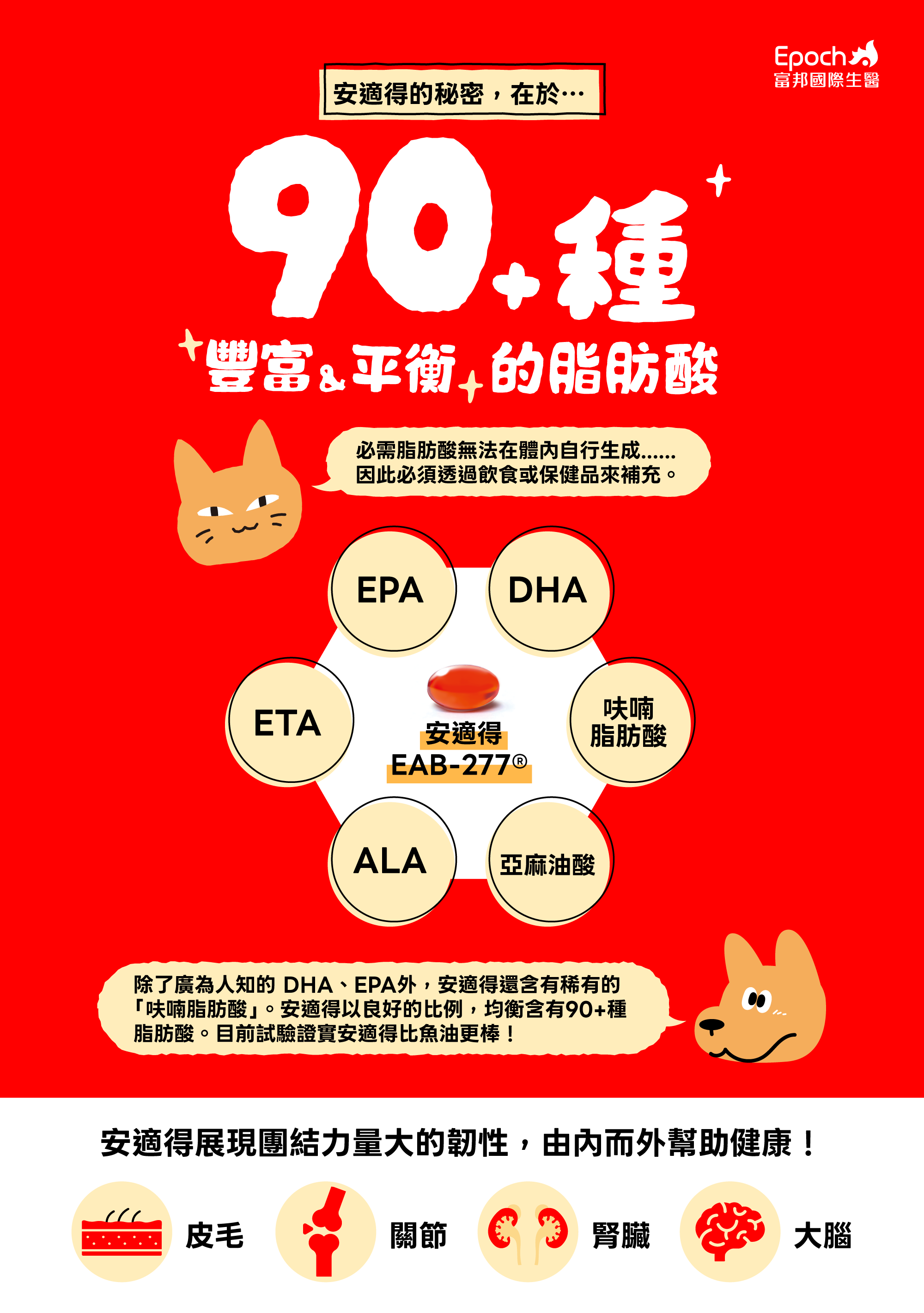 安適得 Antinol 多元平衡的脂肪酸群