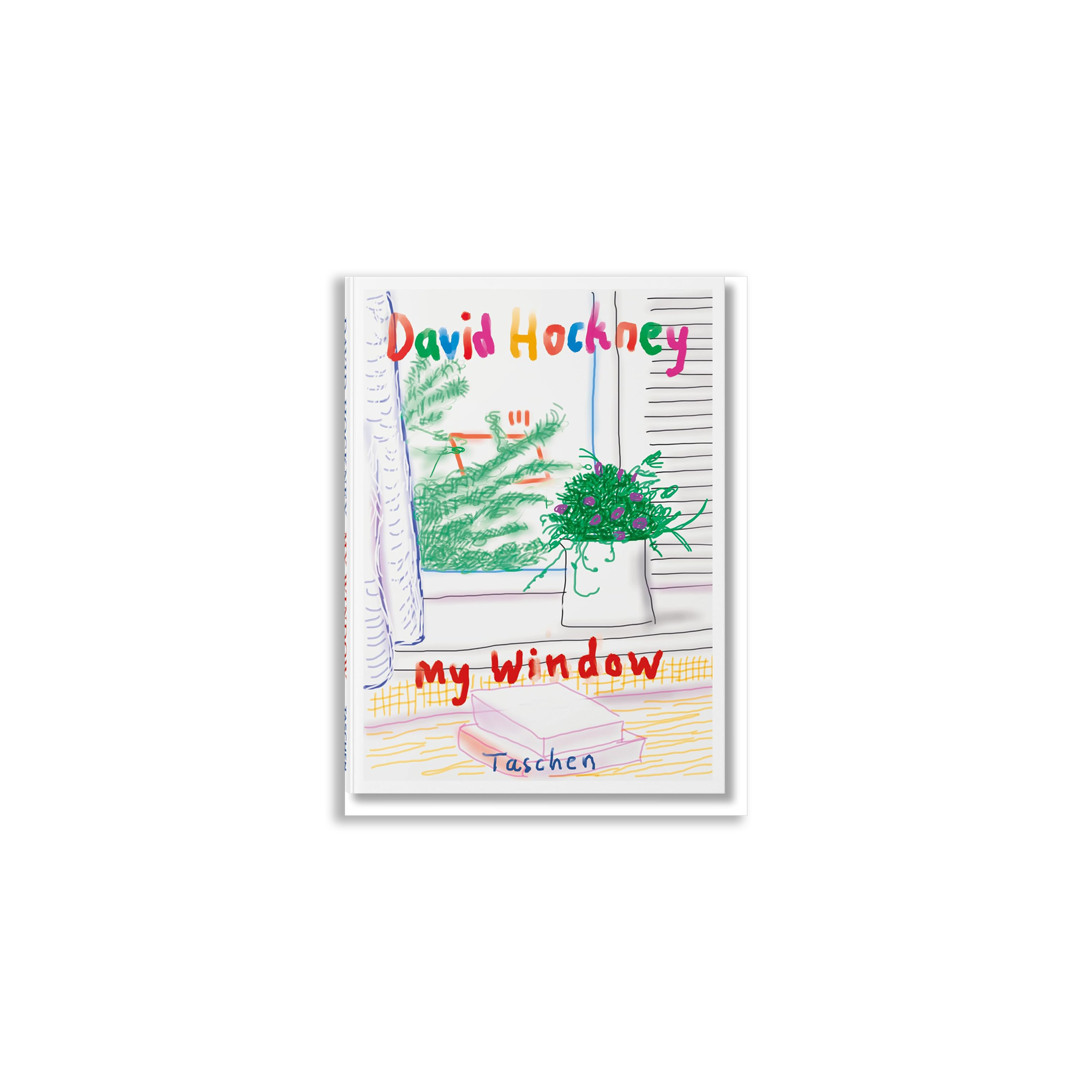 David Hockney. My Window