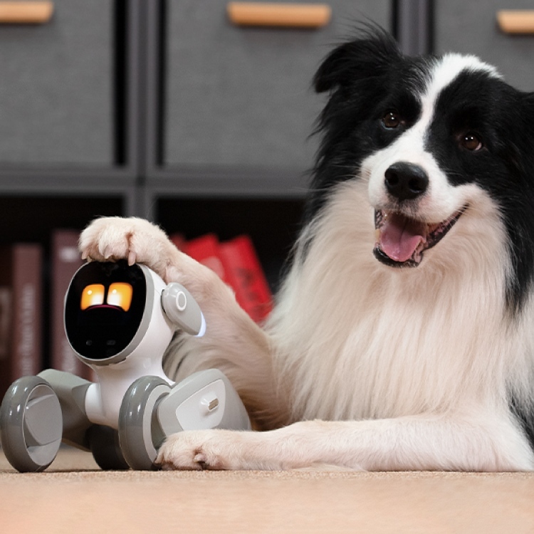 KEYi Tech Loona AI 陪伴型聊天機械人