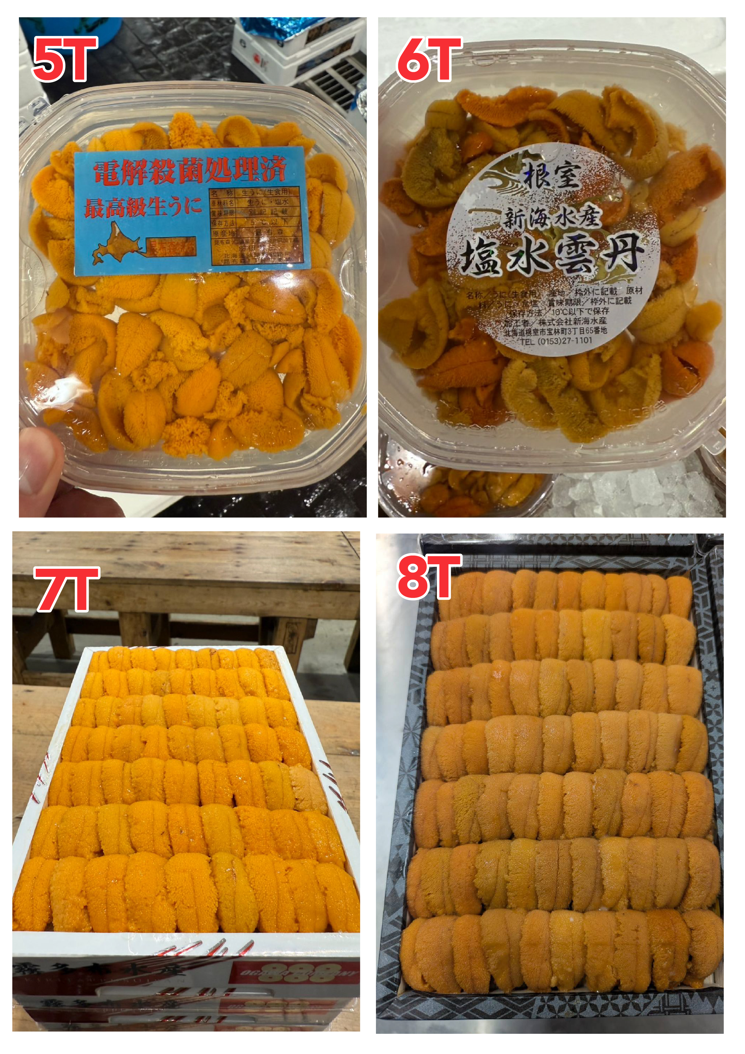 【Recommended Sea Urchin (Uni) Selection】 Updated Daily (Order Today for Next-Day Delivery)