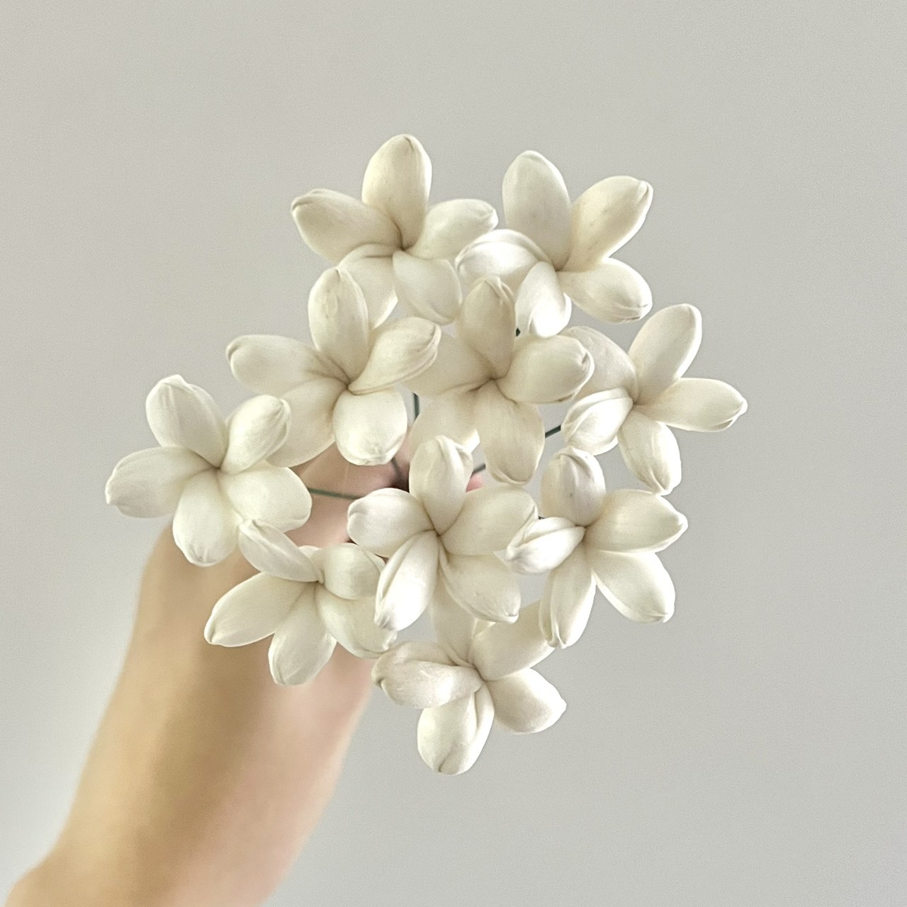 泰國索拉花 小茉莉花 3CM <十支一把> (高品質)