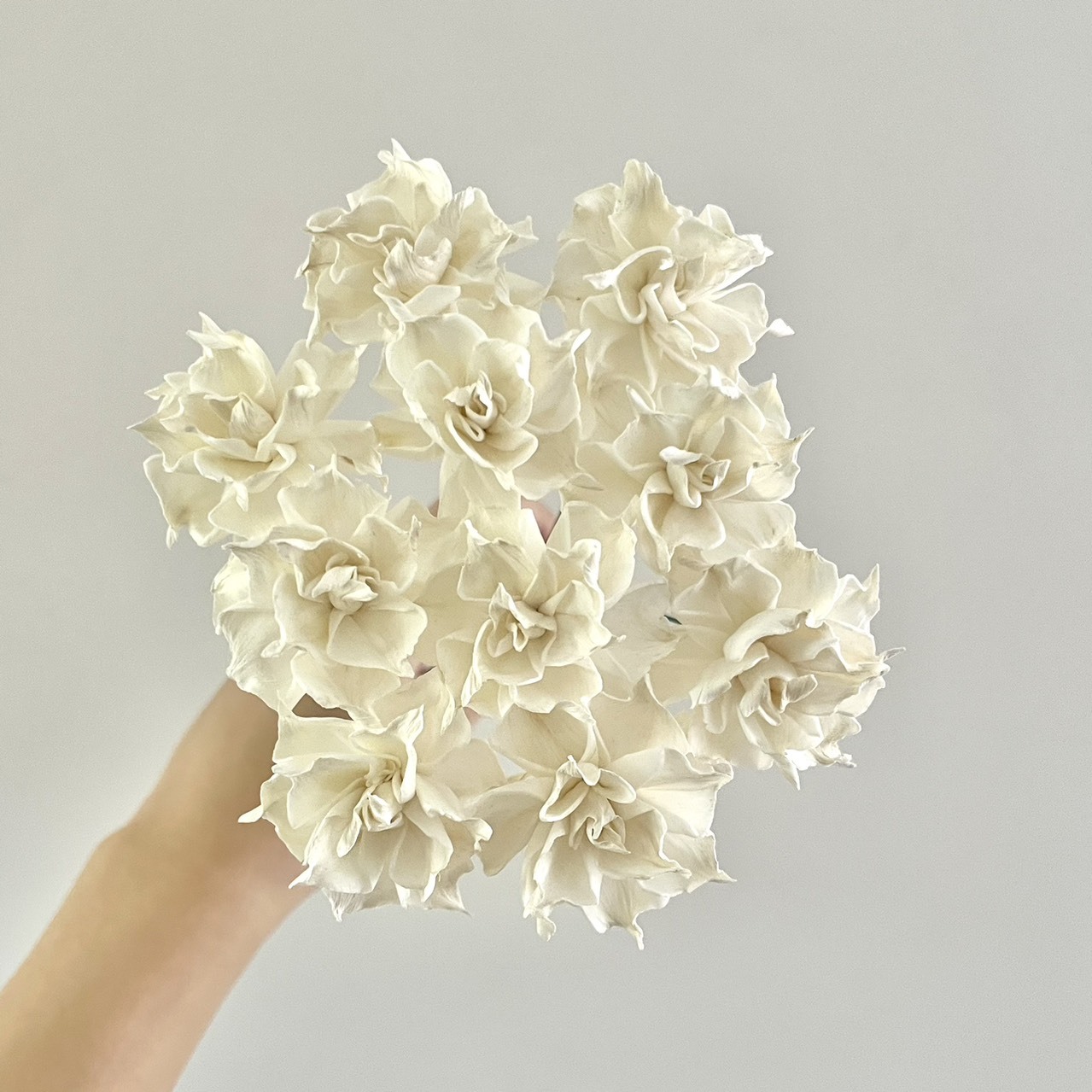 泰國索拉花 尖葉玫瑰花 4CM〈十支一把〉(高品質)