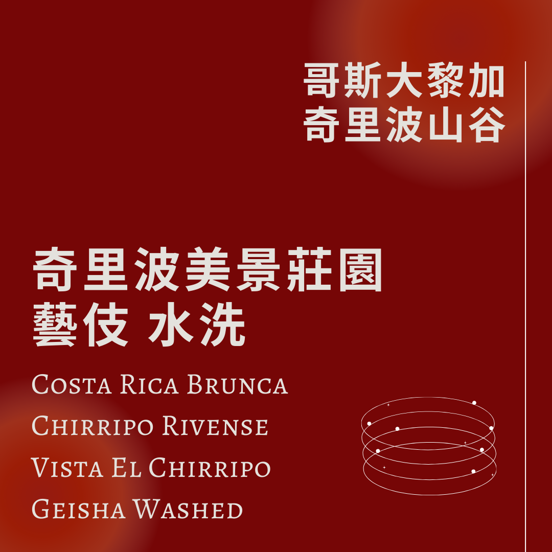 哥斯大黎加 奇里波美景莊園 藝伎水洗