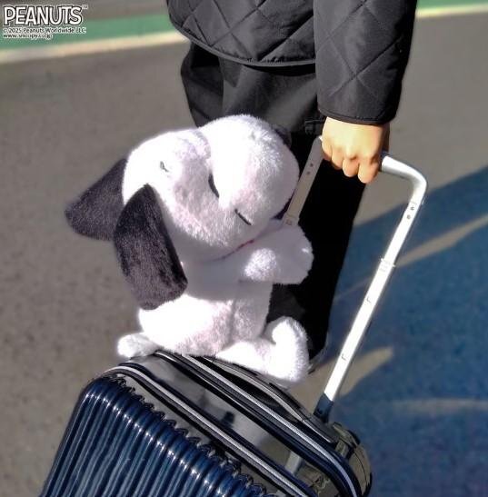 <限時48小時接單⏰一隻免運> 變身娃娃頸枕 歐拉夫 史努比 大耳狗 Hellokitty