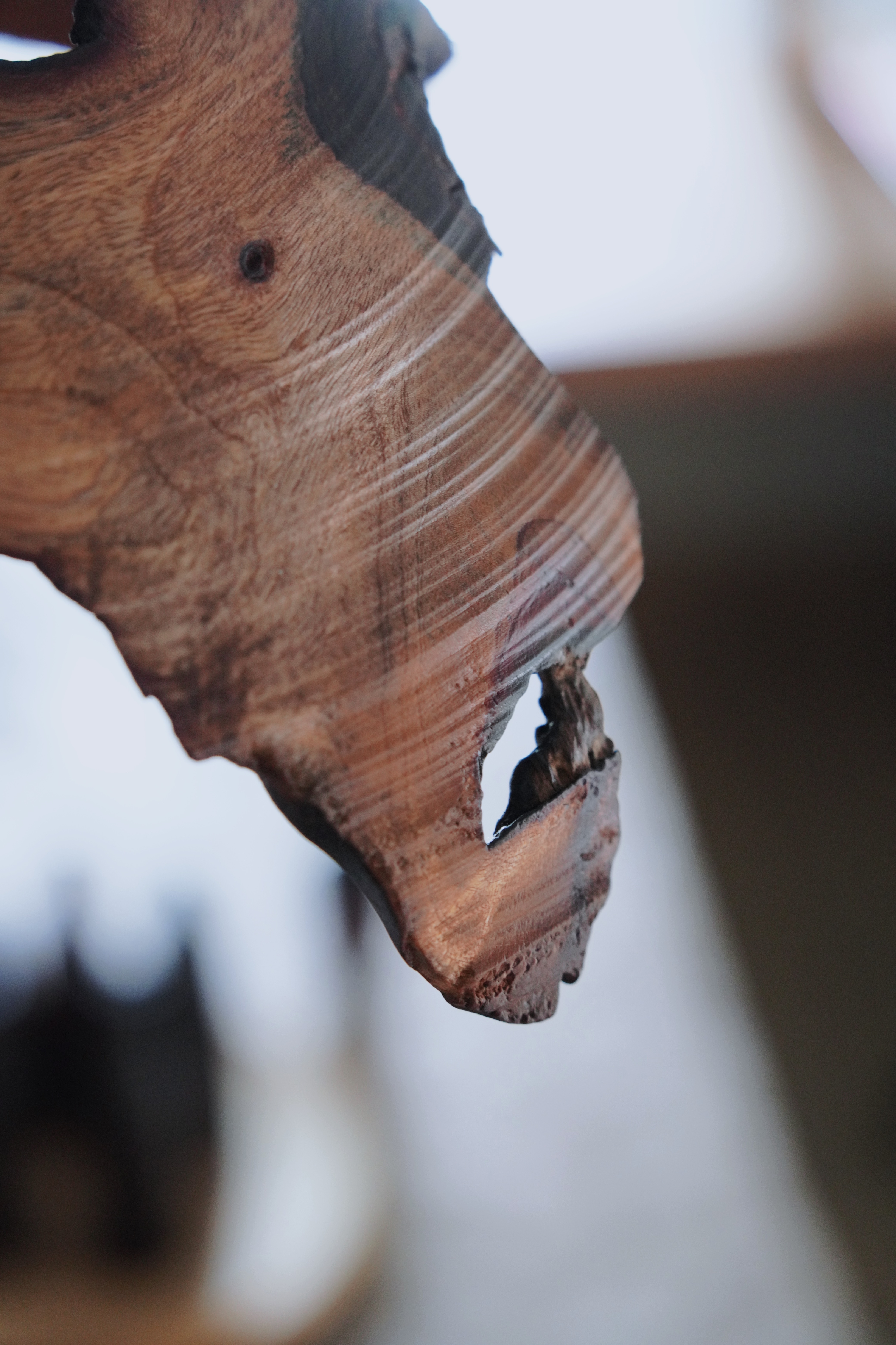 隙｜拾未木作個展｜L  翅果 03 | 桃花心木吊燈