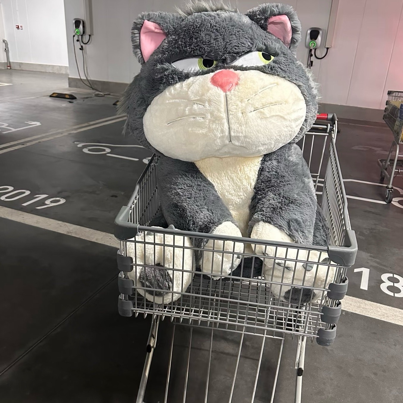 正版 超巨大路西法抱枕 80/50 cm 附毛毯