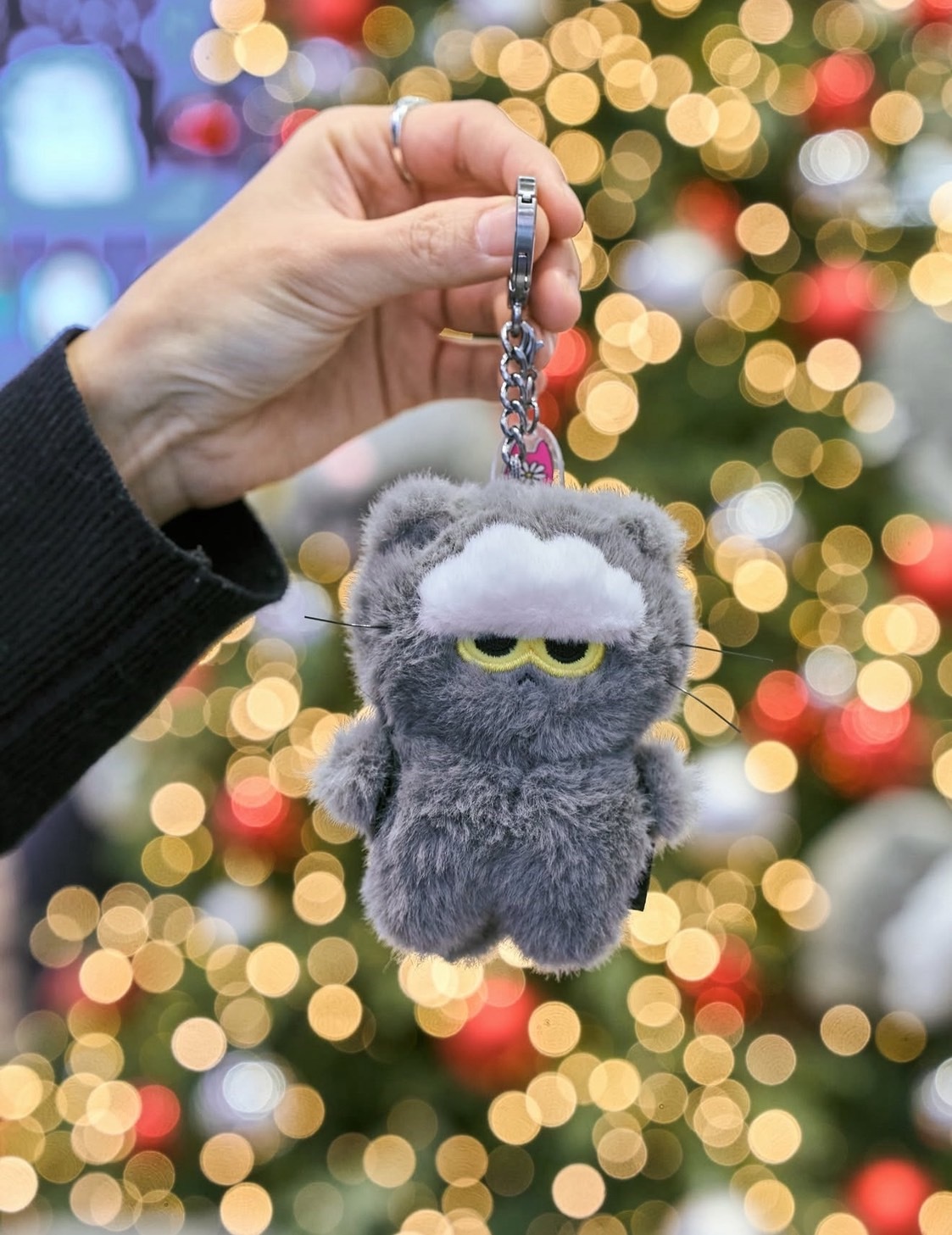 【LUXURY】 正品代購 ZOA & linefriends 限量聯名系列 貓咪娃娃 權志龍 權三歲 G-DRAGON GD BIG BANG