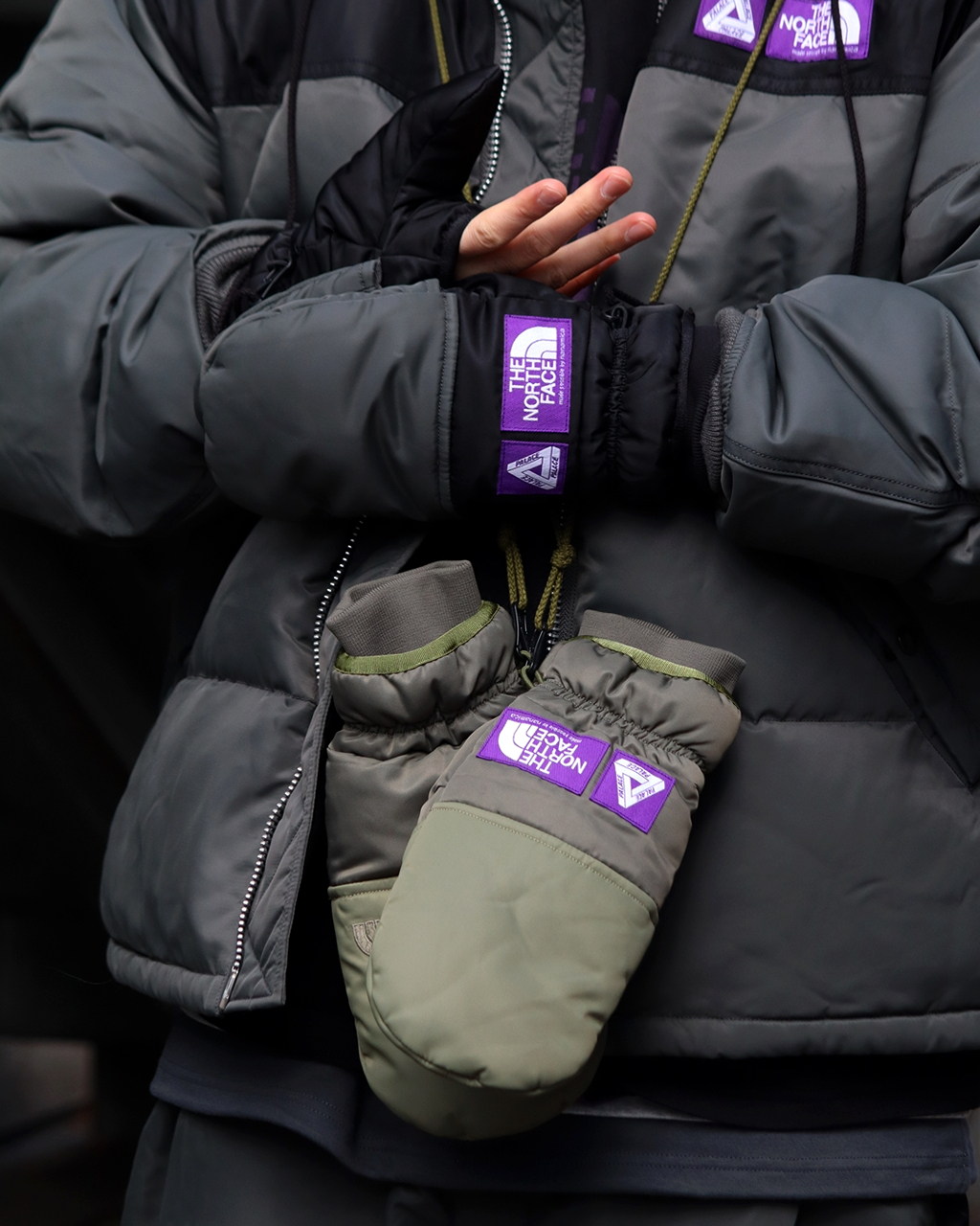 2025AW THE NORTH FACE Purple Label 紫標 x PALACE WINDSTOPPER Field Down Glove 聯名 滑雪 保暖 手套 N25FK129