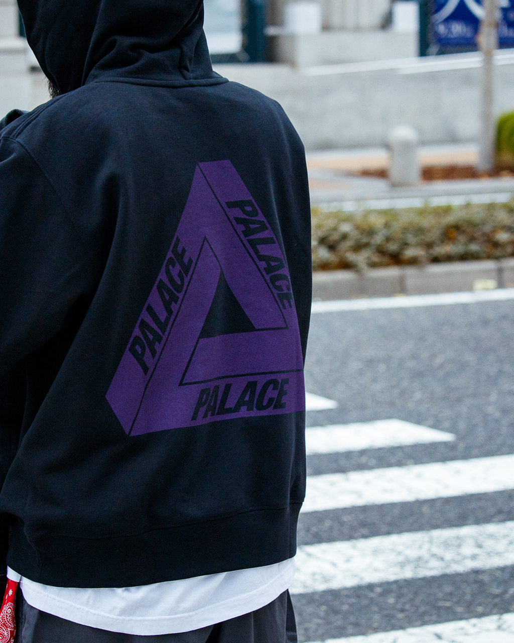 2025AW THE NORTH FACE Purple Label 紫標x PALACE Field Gr