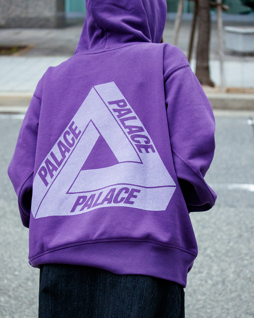 2025AW THE NORTH FACE Purple Label 紫標 x PALACE Field Graphic Hoodie 聯名 帽T 現貨 N25FH134