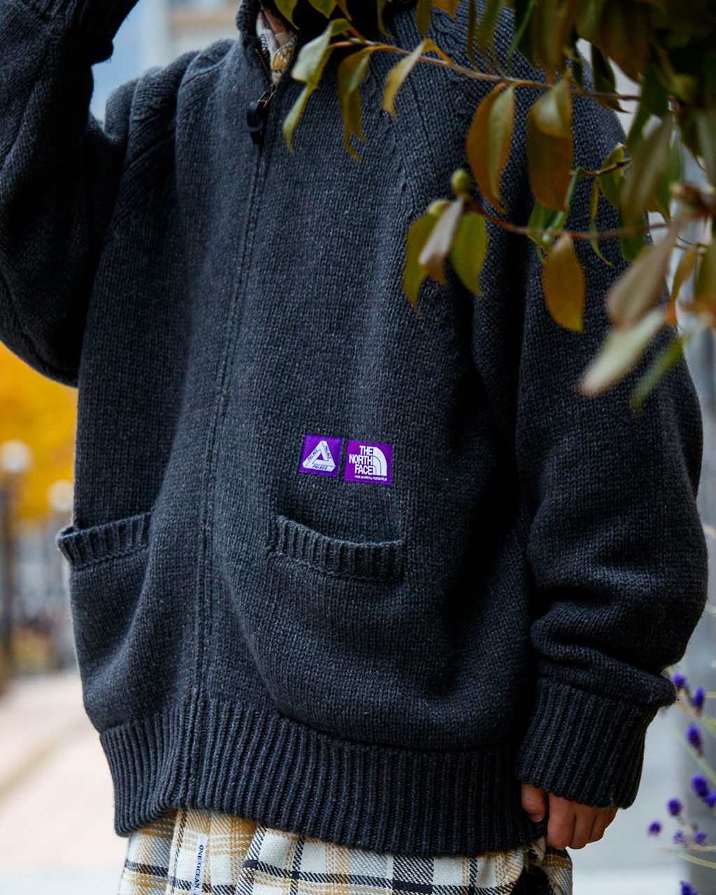 2025AW THE NORTH FACE Purple Label 紫標 x PALACE WINDSTOPPER Field Sweater 聯名 針織 外套 現貨 N25FJ133