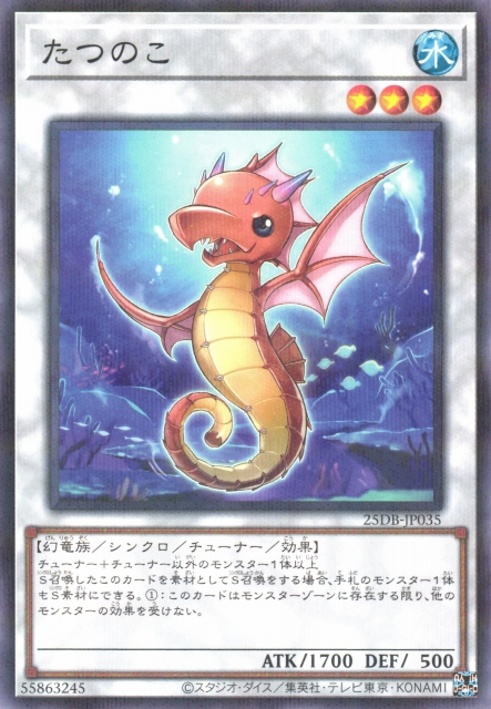 25DB-JP035 (NPR)たつのこ(龍之子)