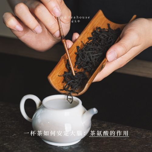 茶如何讓你靜下來?深入解析茶氨酸給大腦的安定訊號|瑜茶舍