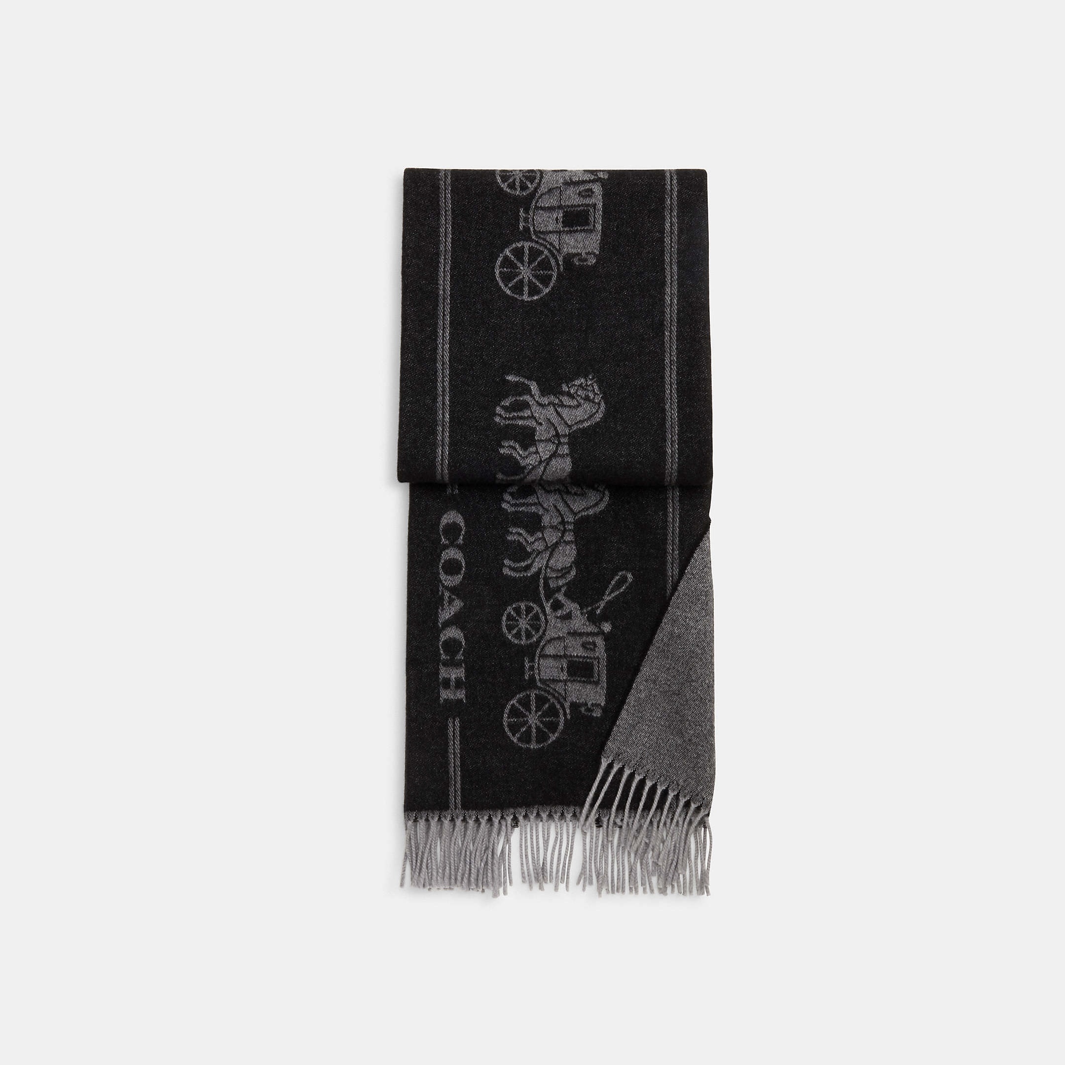 Coach - 經典馬車大頸巾(CK714)